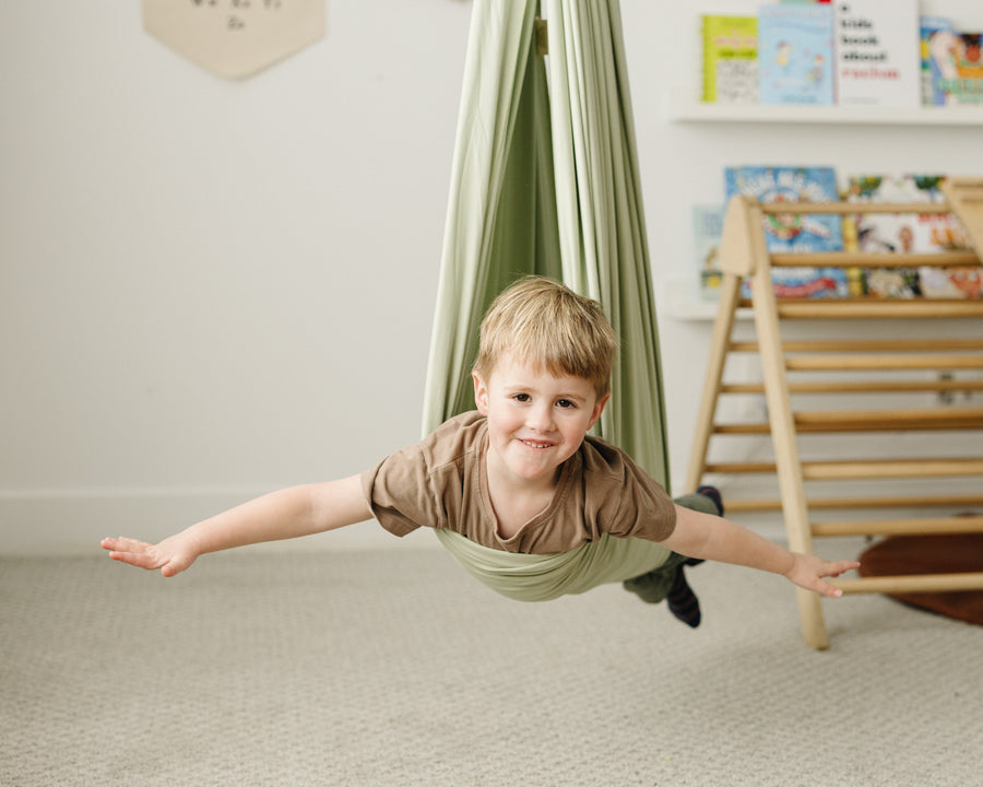 Desert Sage Sensory Swing