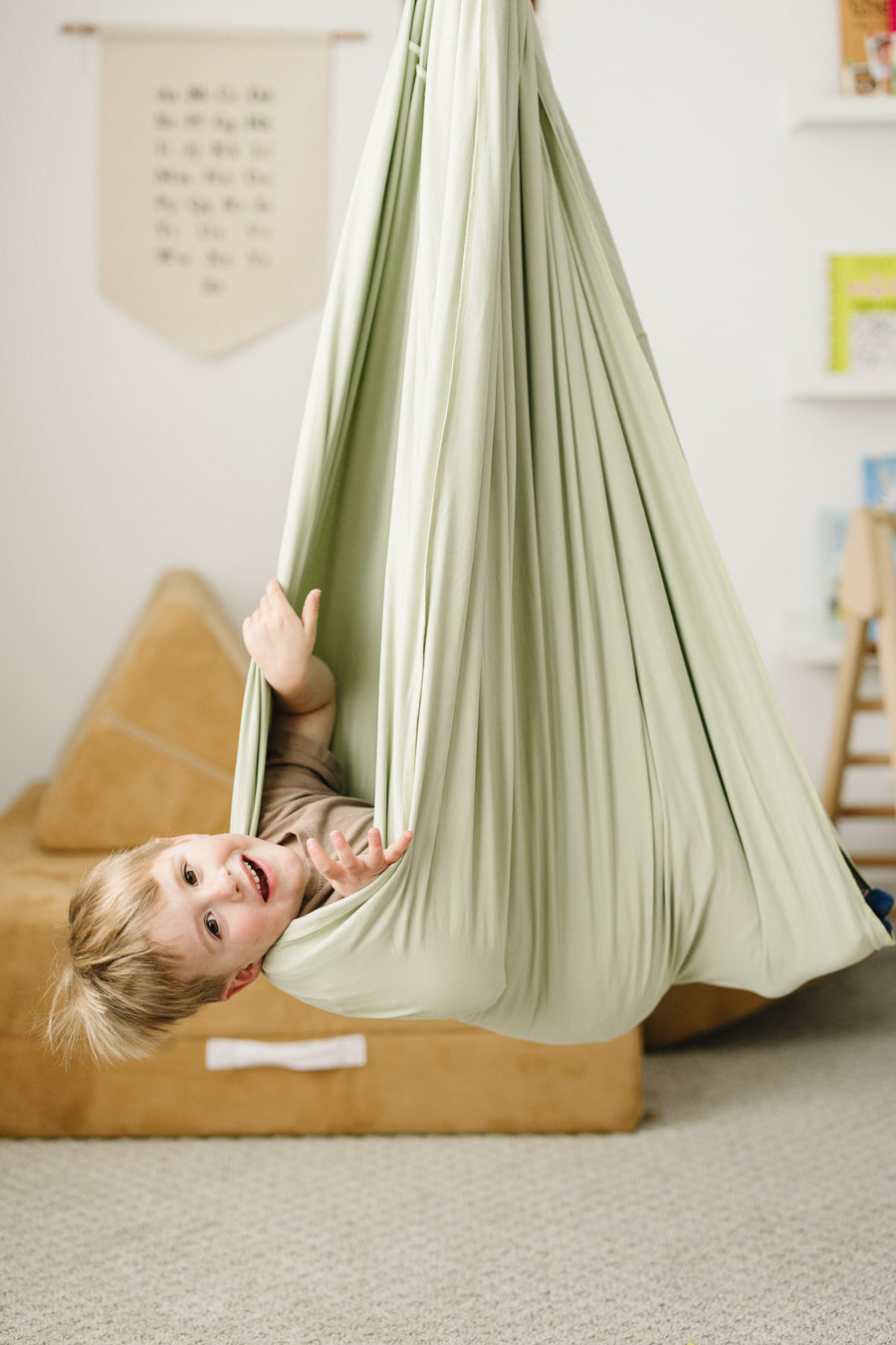 Desert Sage Sensory Swing