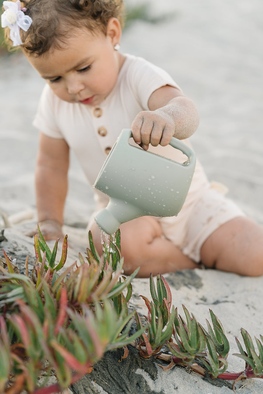 Dried Thyme Garden Set